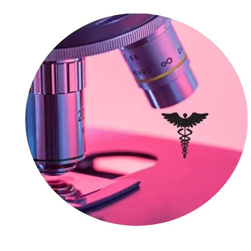 Biologie-lfhk